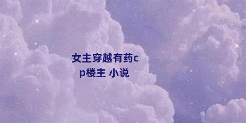 女主穿越有药cp楼主 小说